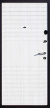 Дверь Порошок №44